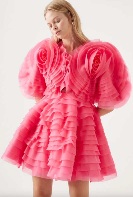 Amour Ruffle Mini Dress