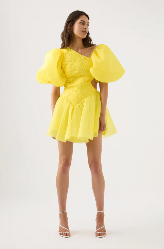 dawn-ruched-mini-dress