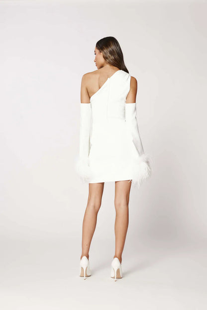 Bianca & Bridgett Dezi Mini Dress