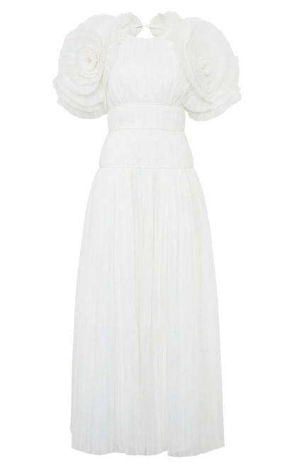 Expressive Pleated Maxi Dress